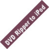 DVD Ripper To iPod  last ned