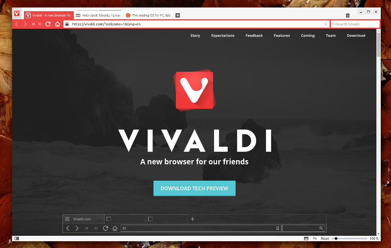 Vivaldi браузер 6.2.3105.54 downloading